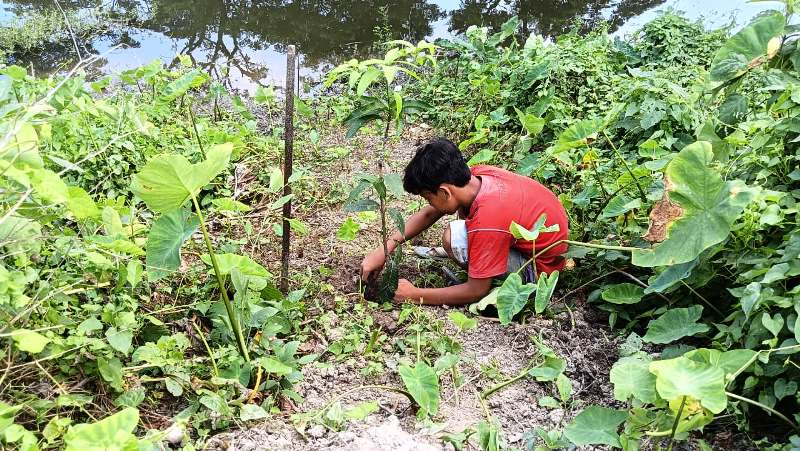 Water Body Conservation