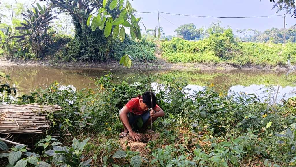 Water Body and Environmental Conservation Drive