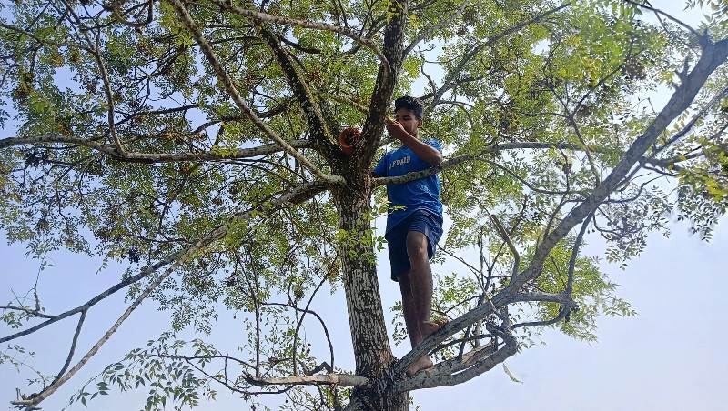 Indian best NGO working on Wildlife Conservation