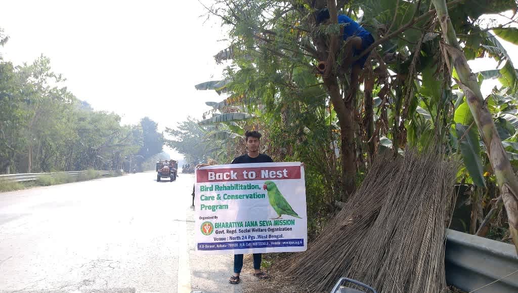 Eco-Friendly Bird Nest Installation