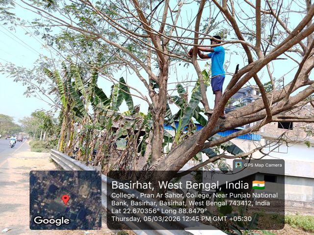 Eco-Friendly Bird Nest Installation Drive by Bharatiya Jana Seva Mission