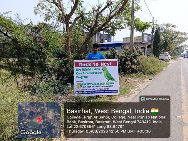 Eco-Friendly Nest Installation in India