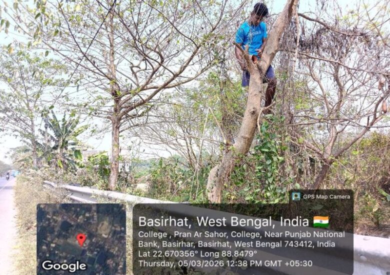 Promoting Bird Conservation