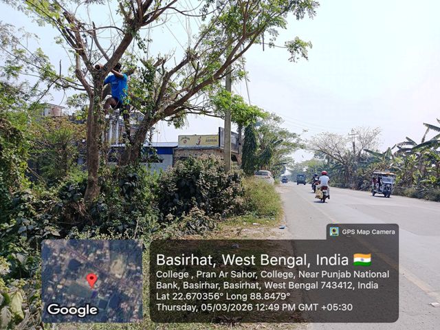 Promoting Bird Conservation Through Eco-Friendly Nest Installation in India