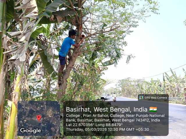 Promoting Bird Conservation Through Eco-Friendly Nest Installation