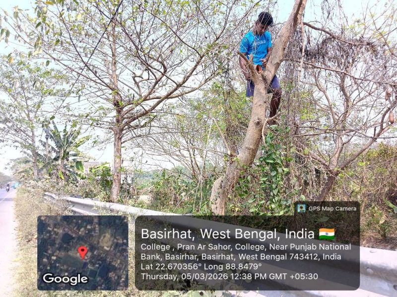 Promoting Bird Conservation Through Eco-Friendly Nest Installation