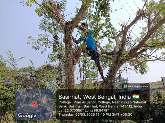 Supporting Urban Birds with Eco-Friendly Nests – Bharatiya Jana Seva Mission Initiative