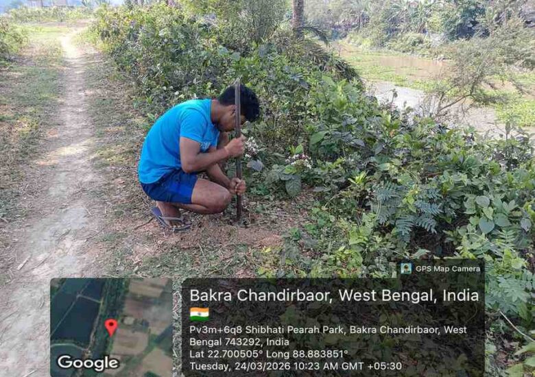 Wetland Protection & Tree Plantation Drive by NGOs