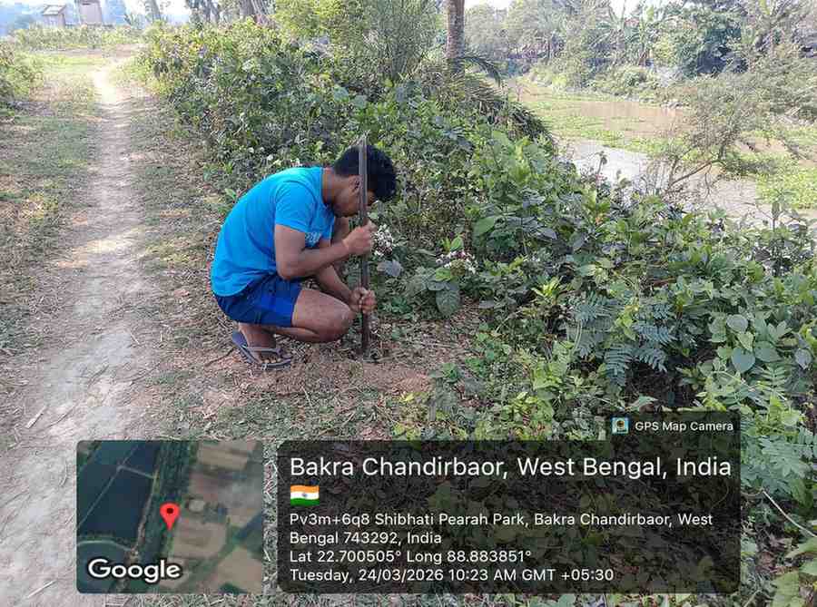 Wetland Protection & Tree Plantation Drive in West Bengal , India.