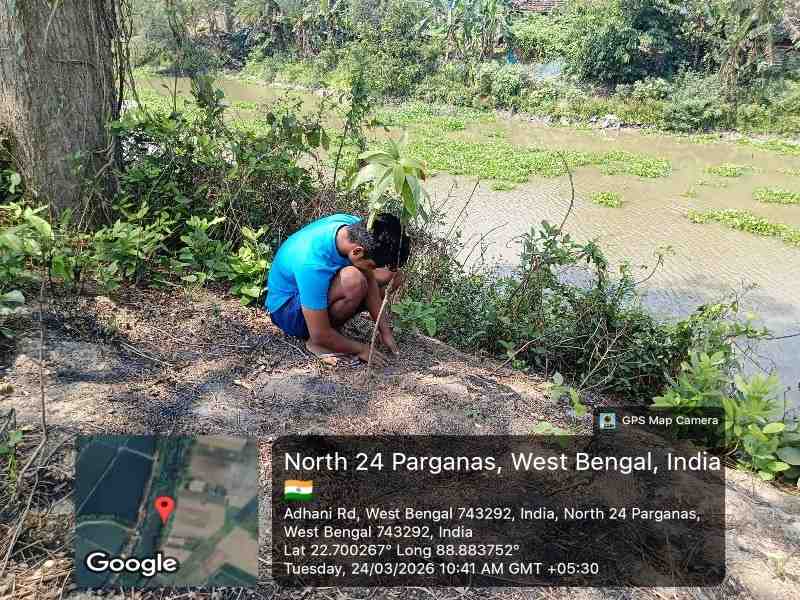 Wetland Protection & Tree Plantation Drive in West Bengal , India.