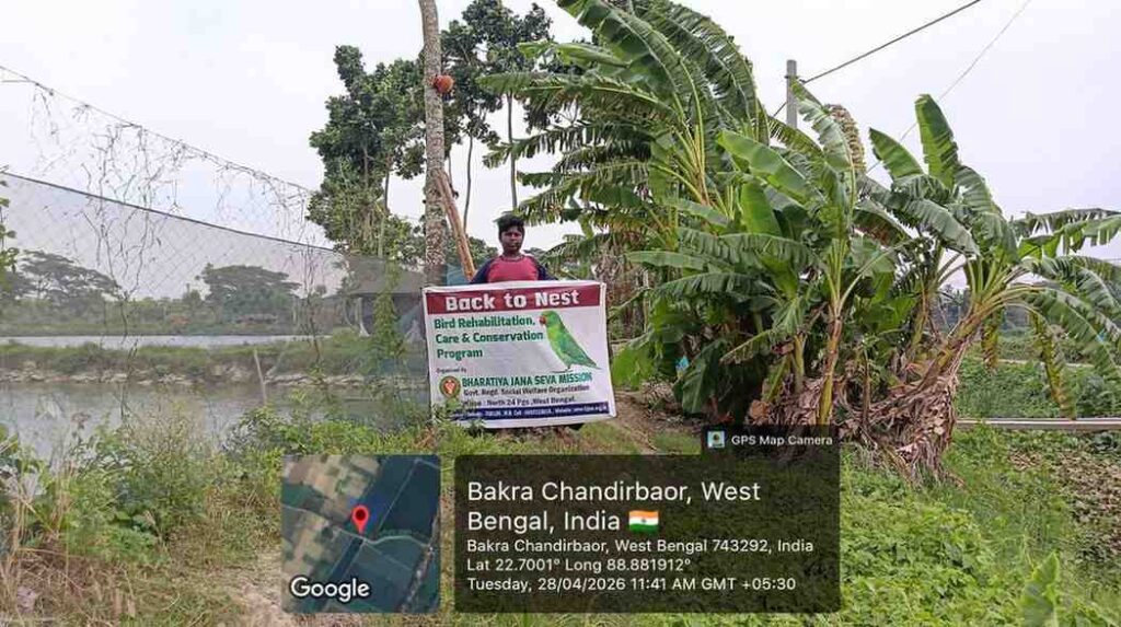 Bird nest installation drive for wildlife