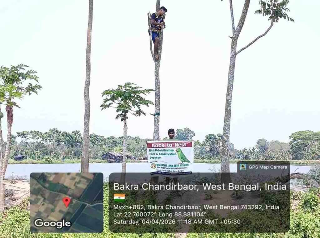 Eco-friendly bird nest installed on tree under urban bird conservation initiative in India