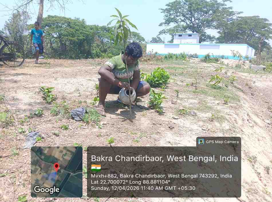 Eco-friendly mango plantation drive