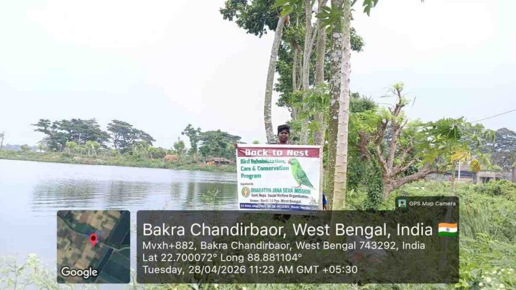Environmental NGO initiative creating safe nesting spaces for birds