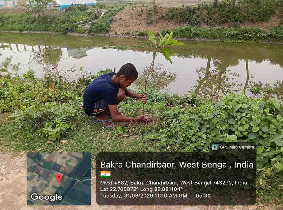 Indian NGOs run Green Canal Restoration Drive