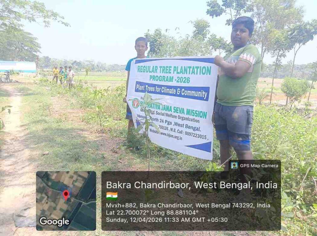 Mango plantation drive North 24 Parganas