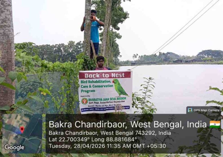 NGO Bird Nest Project in India