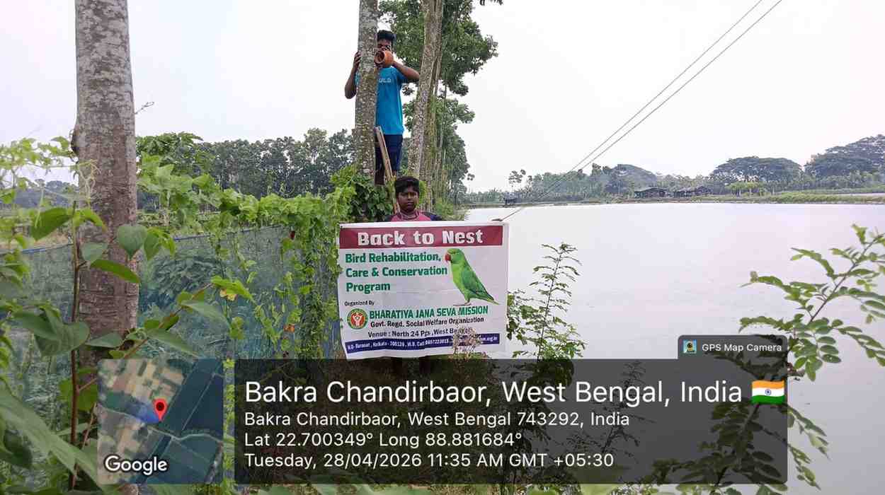 NGO Bird Nest Project in India