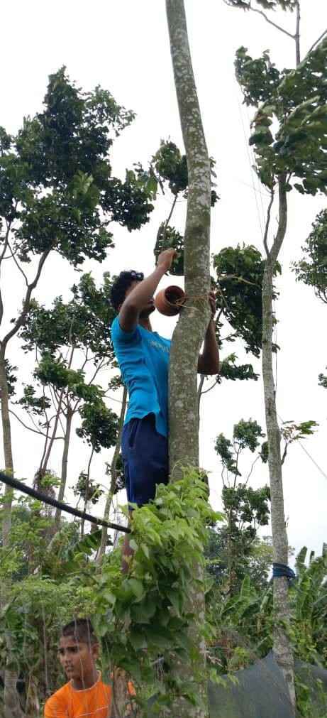 Environmental NGO initiative creating safe nesting spaces for birds