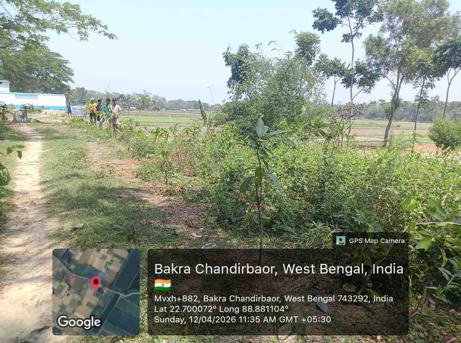 Planting mango trees community drive