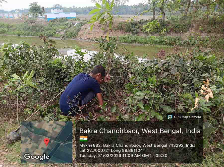 Protecting Irrigation Canals with Tree Plantation in North 24 Parganas