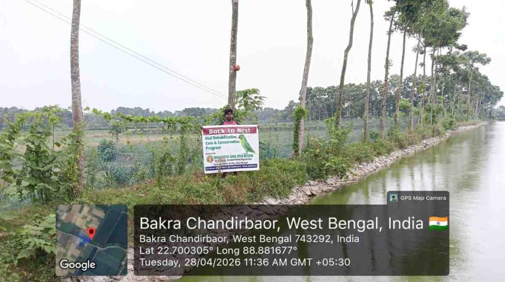 Sustainable bird shelter project supported by NGO donations