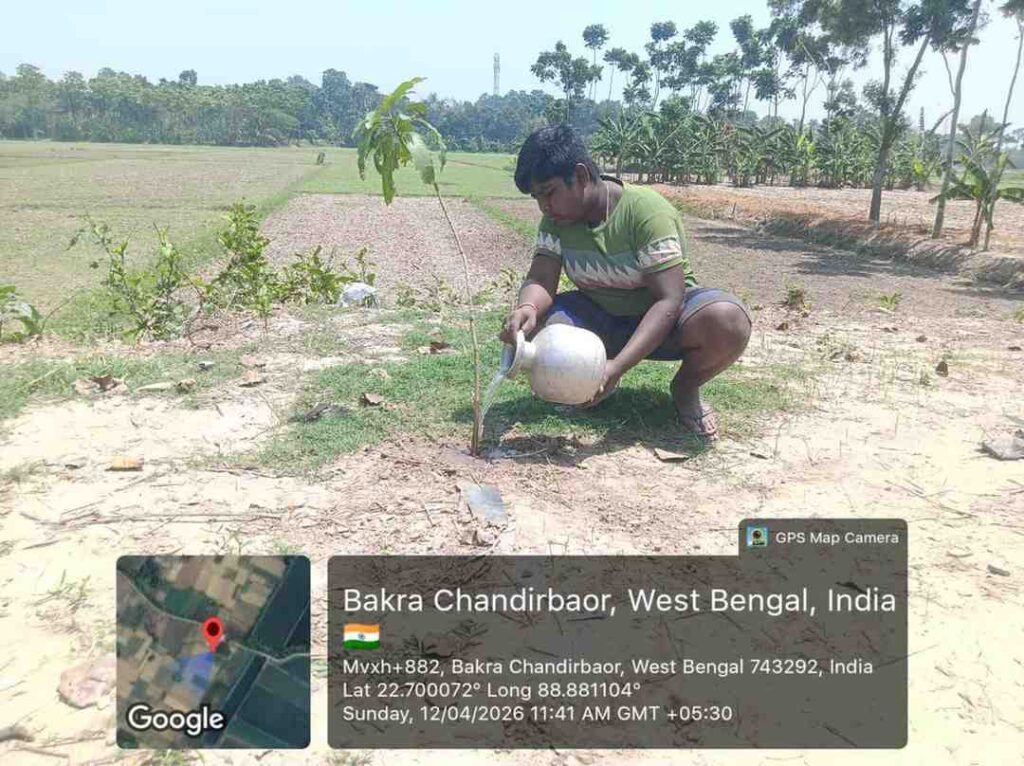 Tree plantation activity April 2026