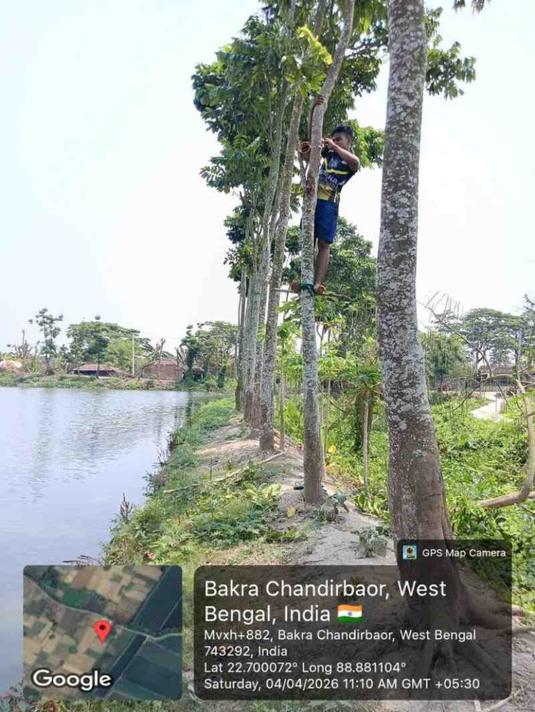 Volunteers installing bird nests on trees for bird conservation program in India
