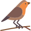 Protect Native Bird Species