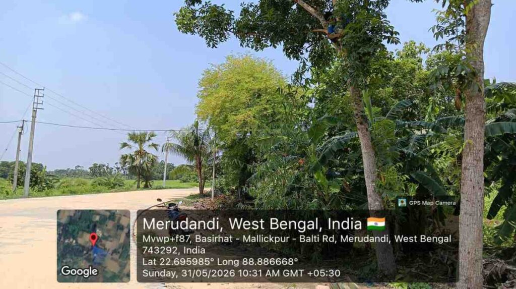 Back to Nest Campaign Strengthening Human-Nature Coexistence