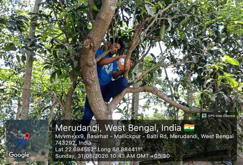 Building Homes for Birds in India
