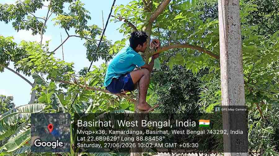 Community supporting wild bird conservation.