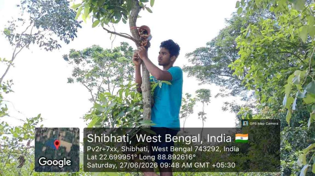Supporting Wild Birds Through Sustainable Conservation