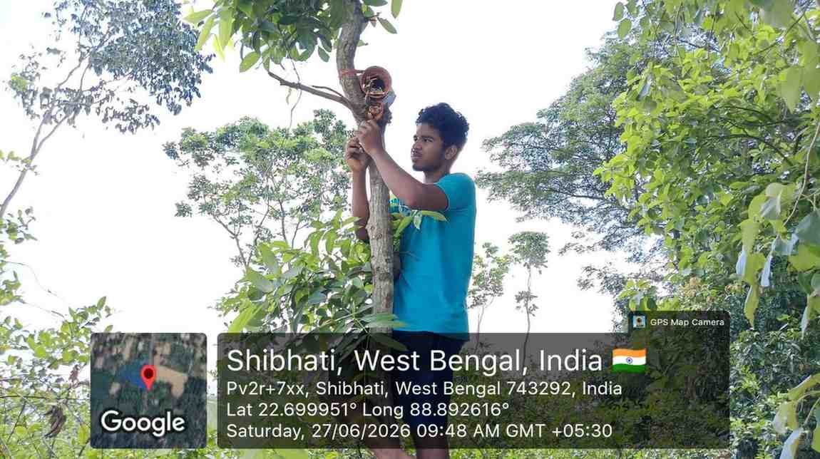 Supporting Wild Birds Through Sustainable Conservation
