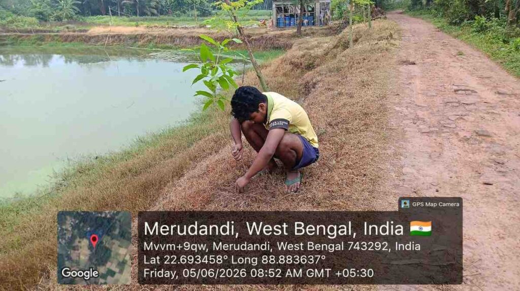 Tree plantation activity on World Environment Day 2026 by NGO volunteers