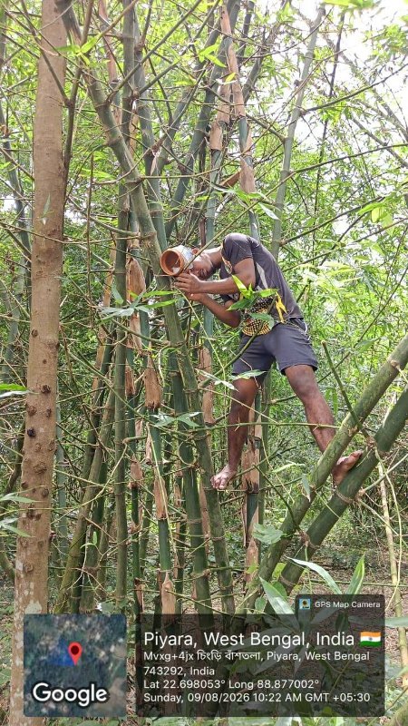 Back to Nest 2026 bird shelter initiative organized by Bharatiya Jana Seva Mission