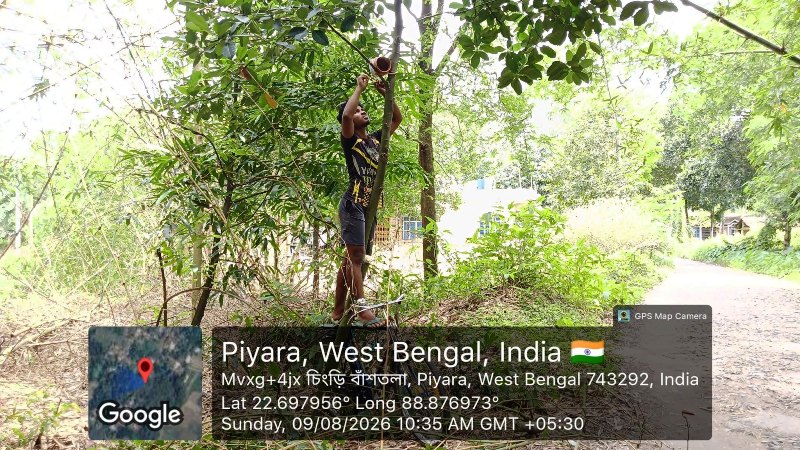 Back to Nest 2026 bird shelter initiative organized by Bharatiya Jana Seva Mission