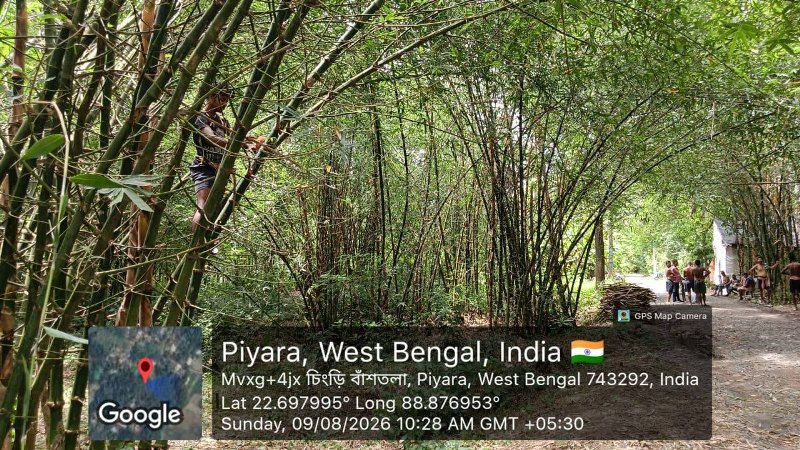 Bird nest installed on a tree as part of Bharatiya Jana Seva Mission’s environmental program