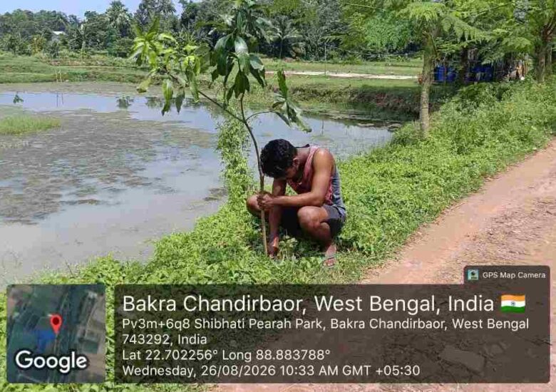 Community Mango Tree Plantation Programme