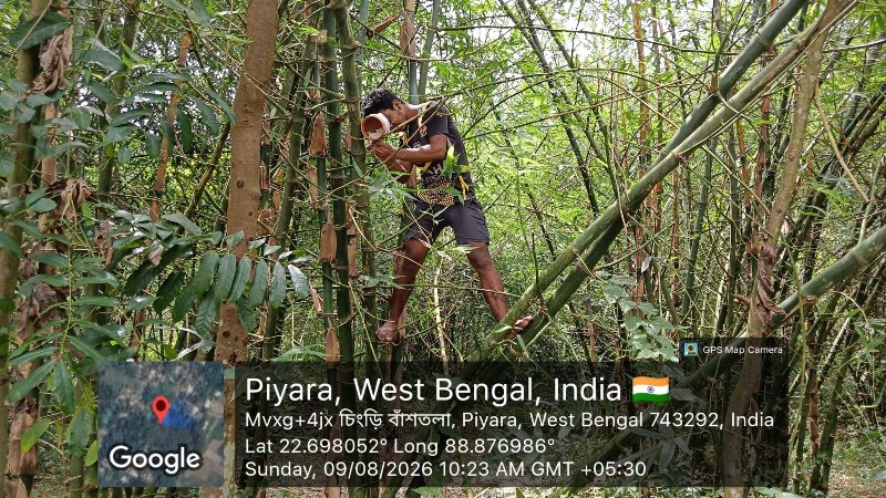 Eco-friendly bird nest installation during the Back to Nest bird conservation program
