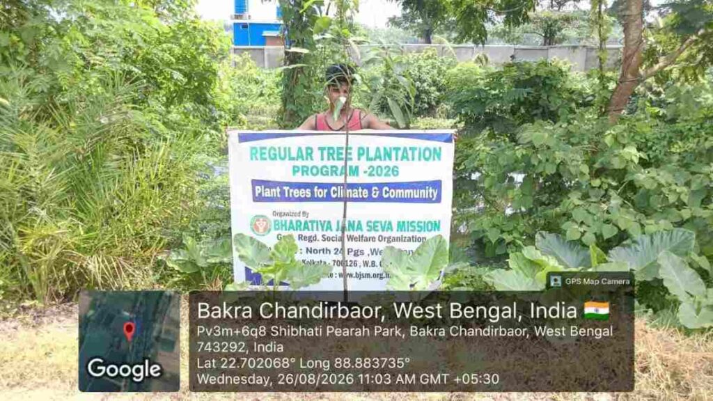 Mango tree plantation for environmental conservation in West Bengal