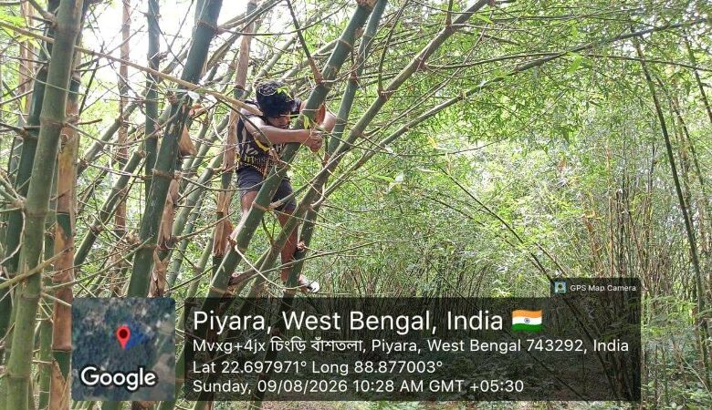 Protecting Urban Wildlife India