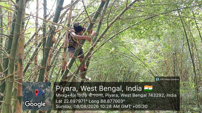 Providing Safe Bird Shelters and Protecting Wildlife India