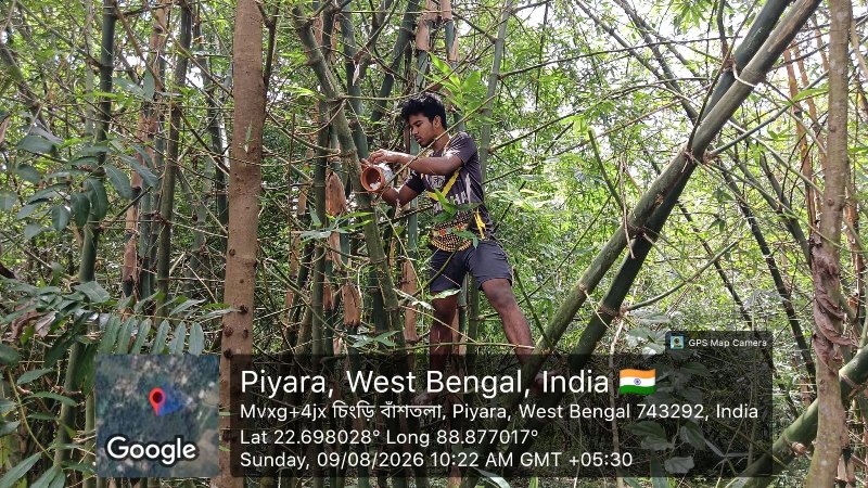 Volunteers supporting bird conservation through the Back to Nest initiative