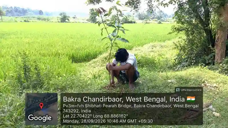 Agricultural canal conservation and mango plantation programme by BJSM