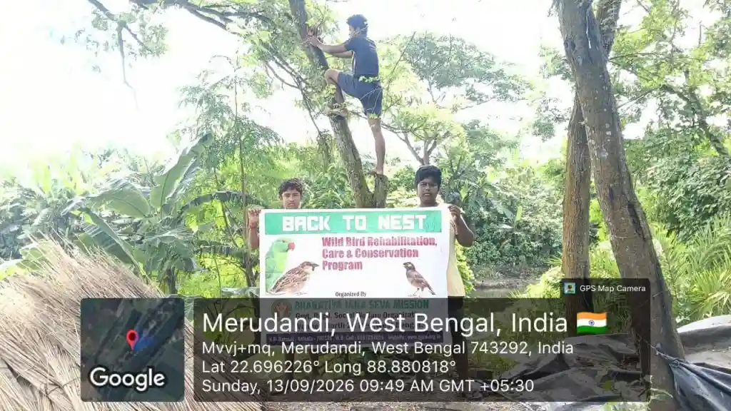 Wings to Shelter: Back to Nest Initiative for Bird Protection