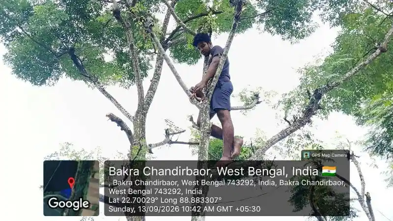 Bird nest installation program promoting wildlife and nature conservation