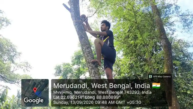Eco-friendly bird shelter installed on a tree for local birds in West Bengal