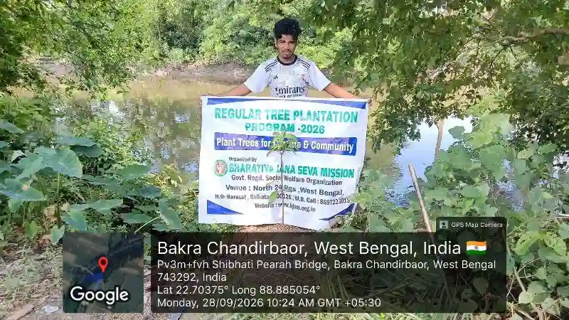 Mango sapling planted beside an agricultural canal in West Bengal