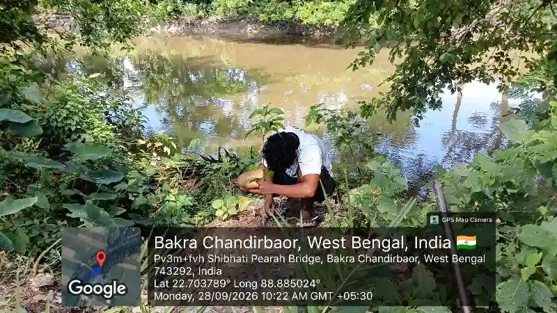 Mango tree plantation for agricultural water conservation in West Bengal